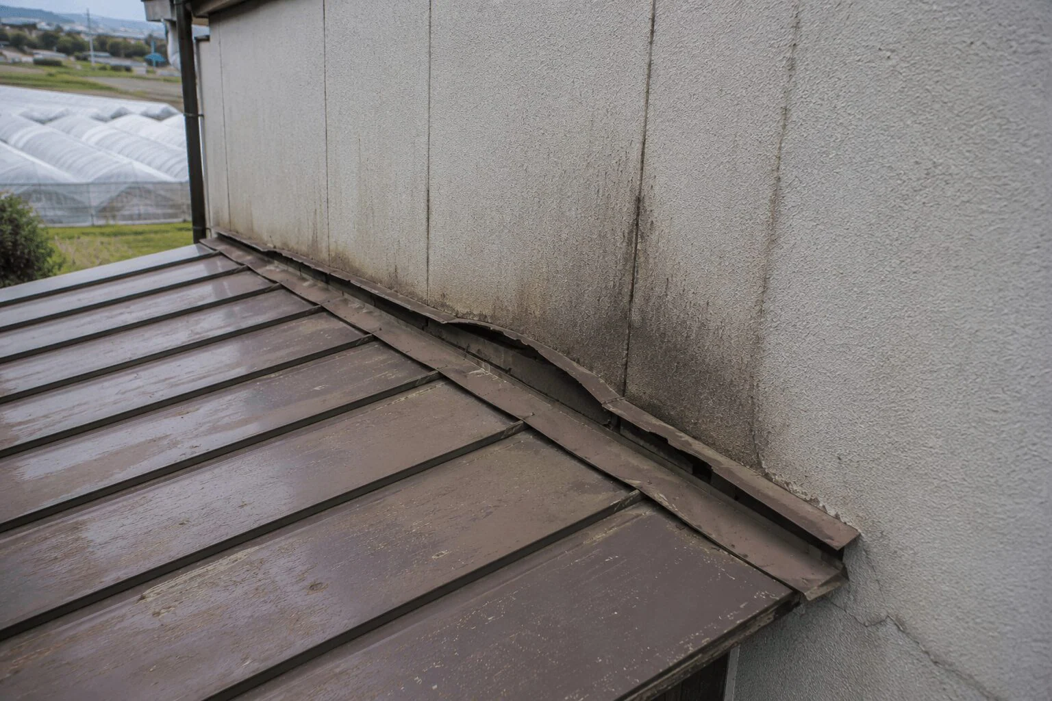 育苗ハウス脇の物置と母屋の接続部からの雨漏りを補修した事例