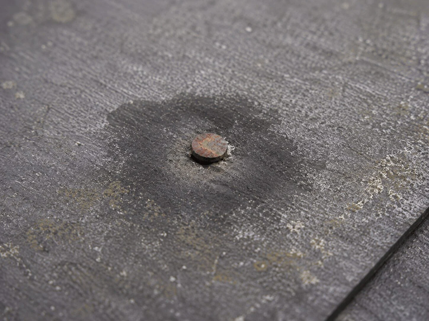 照明器具から水が垂れる状態を屋根の釘穴の補修と天井の復旧で解消した事例