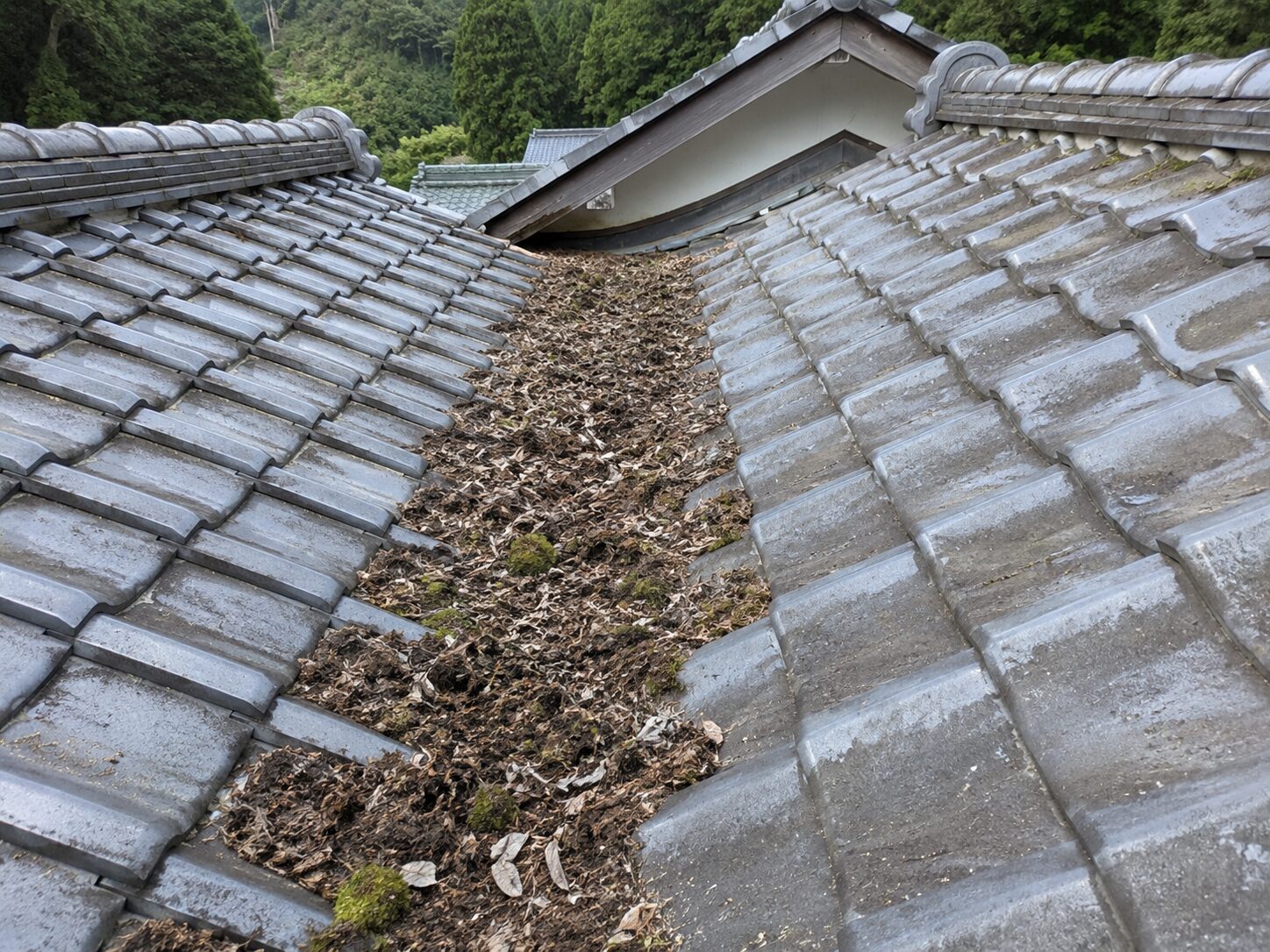 山間部の落ち葉詰まりを清掃・板金補修し雨漏りを解消した事例