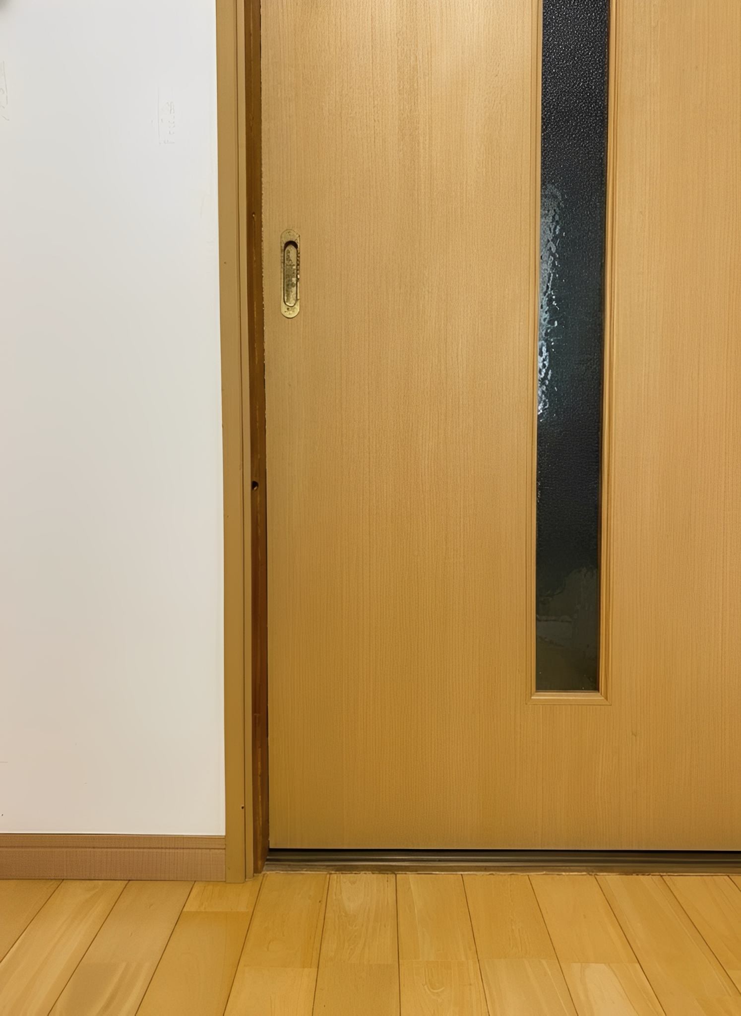 ペットドア取り付け前のドア